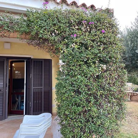 Tavolara Paradise Home 포르토산파울로 외부 사진