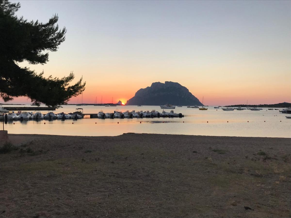 Tavolara Paradise Home 포르토산파울로 외부 사진