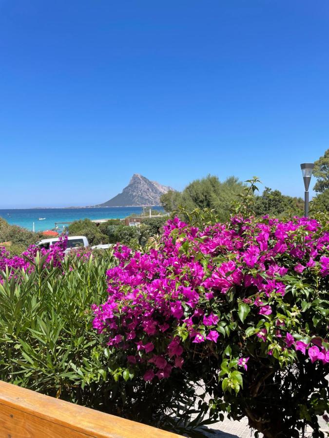 Tavolara Paradise Home 포르토산파울로 외부 사진